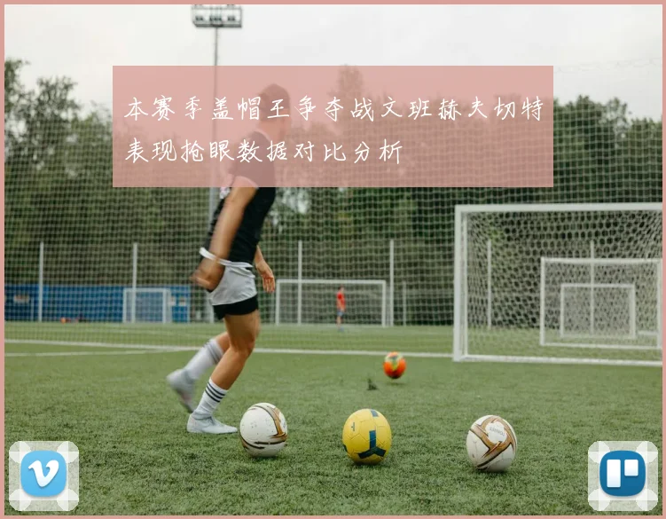 本赛季盖帽王争夺战文班赫夫切特表现抢眼数据对比分析